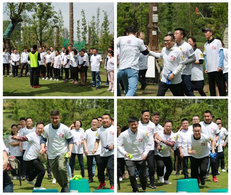 微信图片_20190515164228.jpg